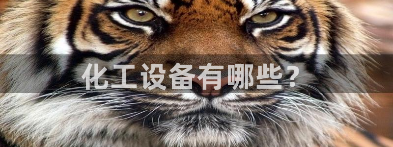 新航娱乐雀7IIII2联他是