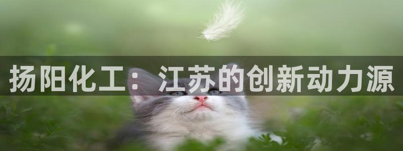 新航娱乐扣款7IIII是啥意思