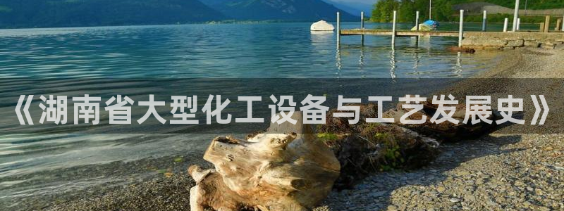 新航娱乐公司扣费流程详解表格