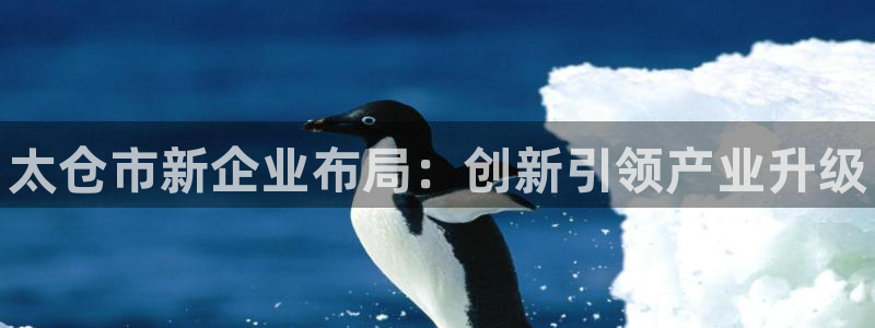 新航娱乐app手机版官网下载安装