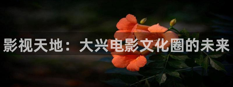 八一影院免费正版下载