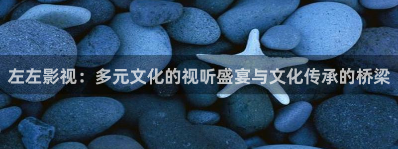 八一影院入口：左左影视：多元文化的视听盛宴与文化传承的桥梁