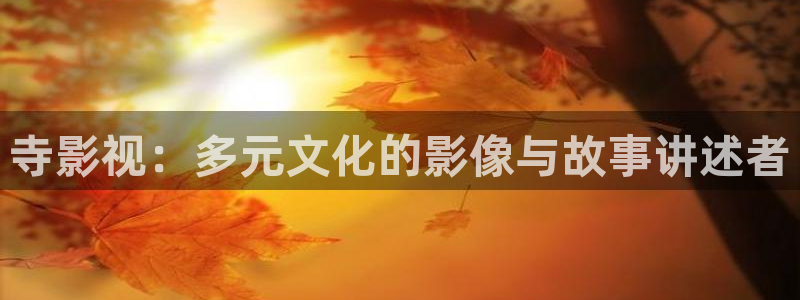 八一影视官网